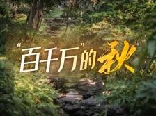 逛不完根本逛不完！秋日的荔湾太美了！