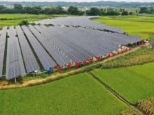 镇委书记打擂台｜肇庆南丰镇：锚定县域副中心，建设商贸强镇