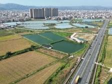 “百千万”·看潮南⑤陇田镇：项目谋破圈，产业争突围