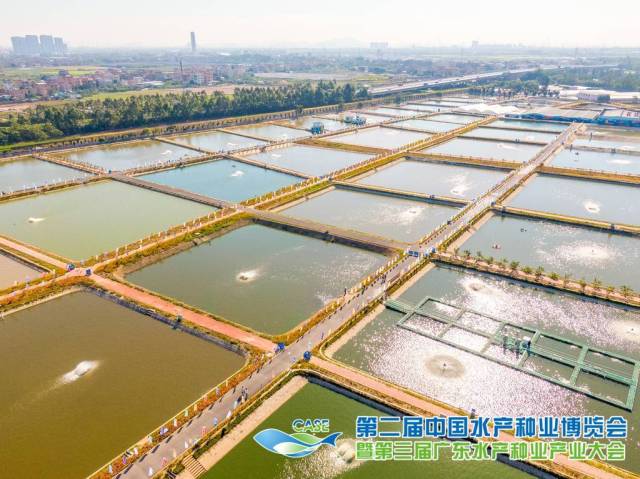 图为第二届中国水产种业展览会暨第三届广东水产种业财富大会现场