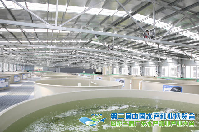 图为第二届中国水产种业博览会暨第三届广东水产种业产业大会现场