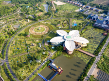 刘桂柱：莲洲将奋力打造全国乡村振兴示范镇