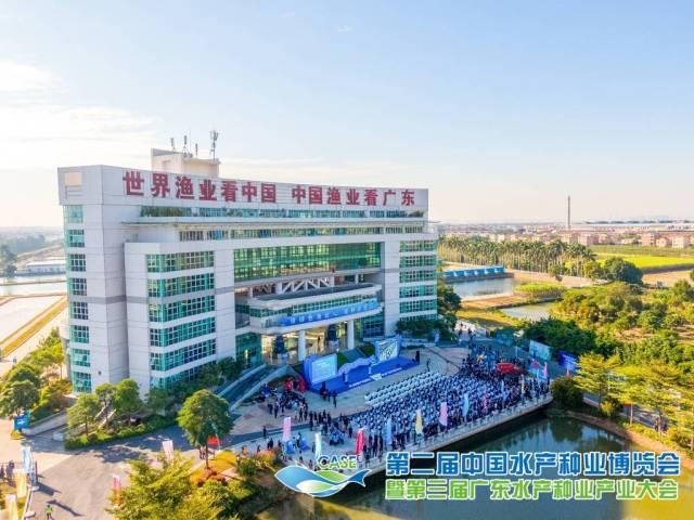 南方农村报 常秦 拍摄