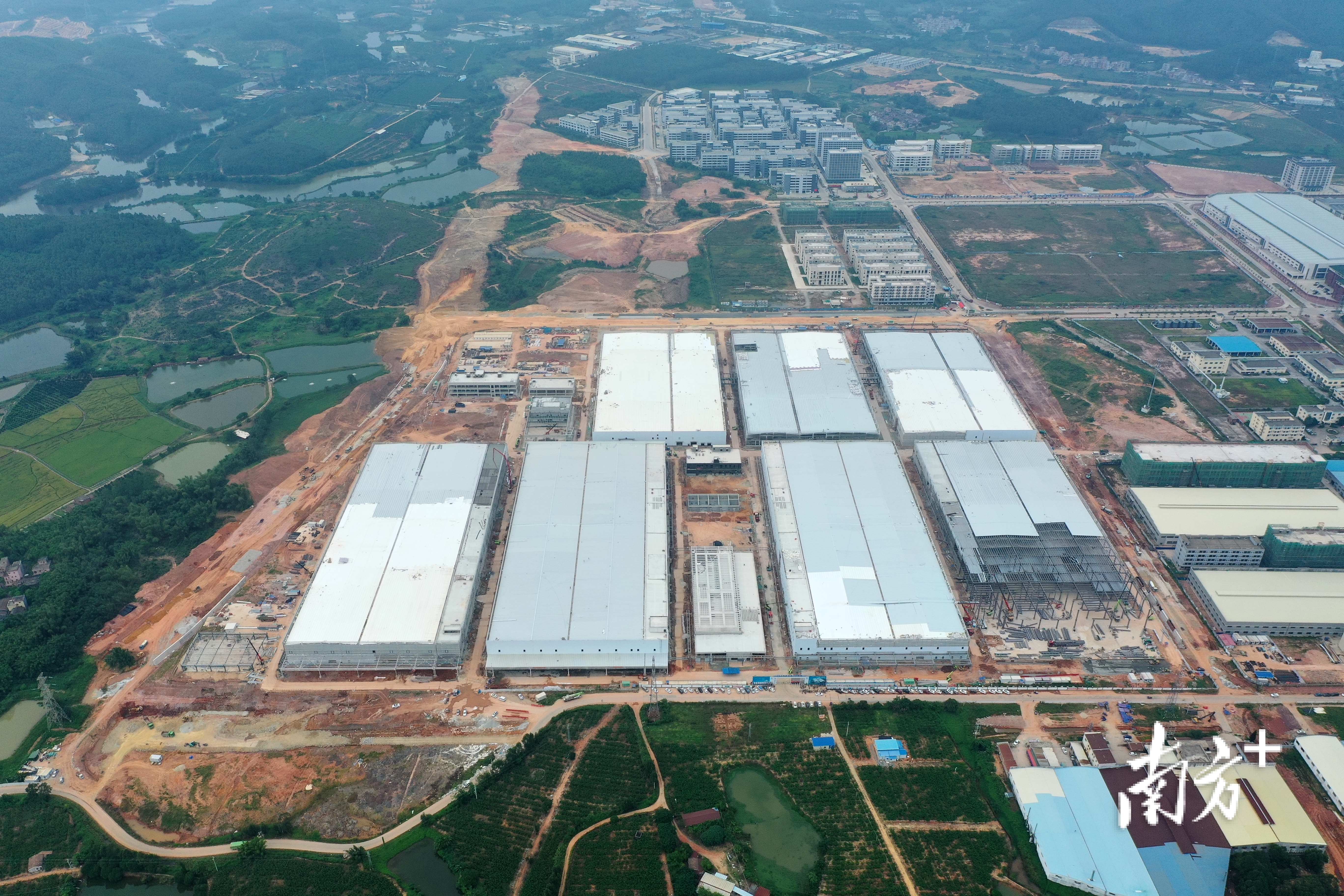 隆基绿能项目。 受访单位供图