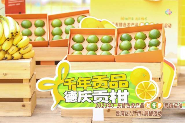 “翡翠绿”璞柑