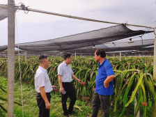 新兴农商银行：专属产品+专业团队，助力城乡融合发展 丨 金融活水润泽“百千万工程”⑭