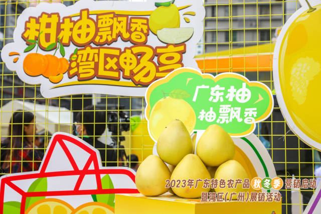 广东柚，“柚”飘香。