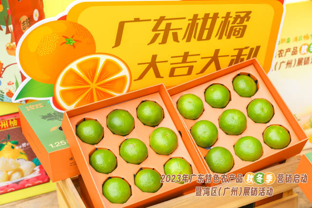 秋冬爆款“翡翠绿”亮相。