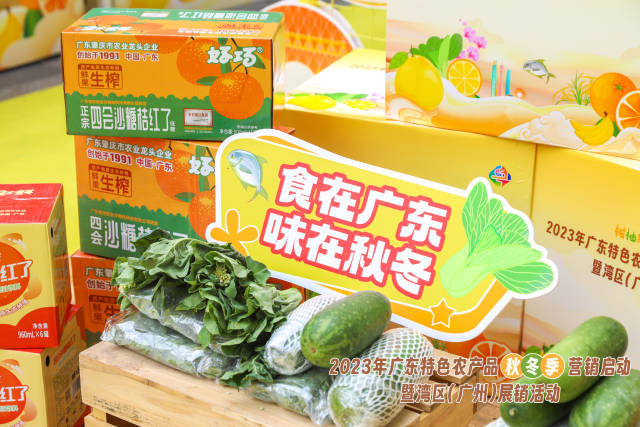 冬种蔬菜上市。