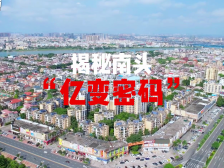 小镇大能量！这组深调研揭秘中山南头“亿变密码”