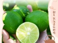 真香～这才是广式围炉煮茶神仙搭配