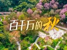 美美美美美！黄埔交卷！