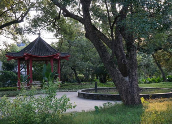 为了发展文旅产业，桂南村近三年来投入4000万元进行整村改造，包括香樟公园翻新、道路改造、新建停车场等（邓宝盈/摄）