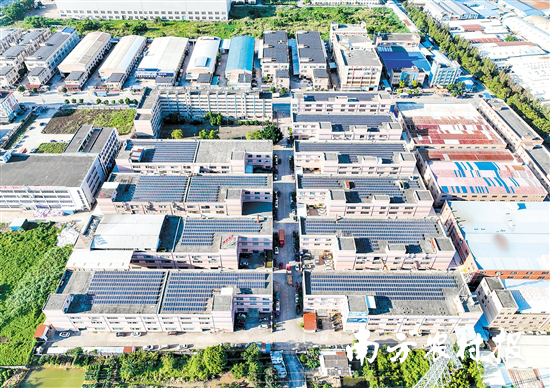 外海街道直冲村工业园区。 邱昱 摄