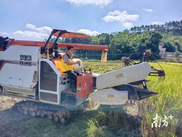 救灾复产，广东农机应急作业服务队全力以赴夺取中晚稻丰收