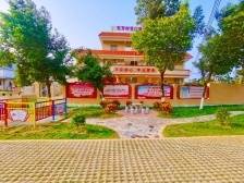 东方村：“小积分”撬动基层治理“大动能”｜开平和美乡村“亮绩亮效”线上展示