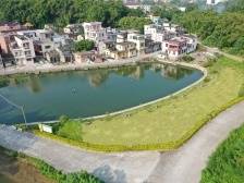 迳头村：闯出强村富民“新路子”｜开平和美乡村“亮绩亮效”线上展示