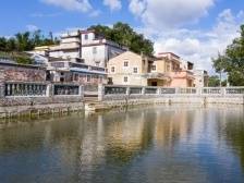 裡村村：村集体经营性收入连续两年增长超50%｜开平和美乡村“亮绩亮效”线上展示