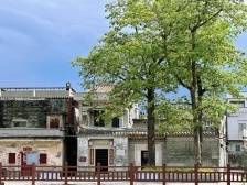 泮村村：实现村庄颜值与人居环境“双提升”｜开平和美乡村“亮绩亮效”线上展示