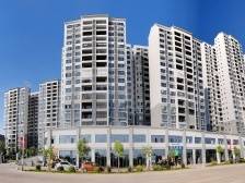 兴宁市叶塘镇以“三力”推动三产融合，助推经济社会高质量发展