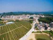 天湖村：促成投资超亿元项目落户｜开平和美乡村“亮绩亮效”线上展示