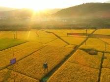 梅县区隆文镇：盘活资源禀赋 闯出三条新路|竞跑百千万·梅县镇能量⑬