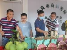 小良镇“一村一主播”，助“新农人”玩转“新农具”|书记项目巡展