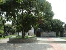 石溪村：助力赤坎新区加快建设｜开平和美乡村“亮绩亮效”线上展示