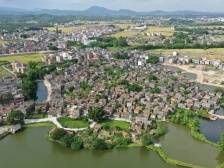 大岗村：盘活闲置资源促进村企“双赢”｜开平和美乡村“亮绩亮效”线上展示