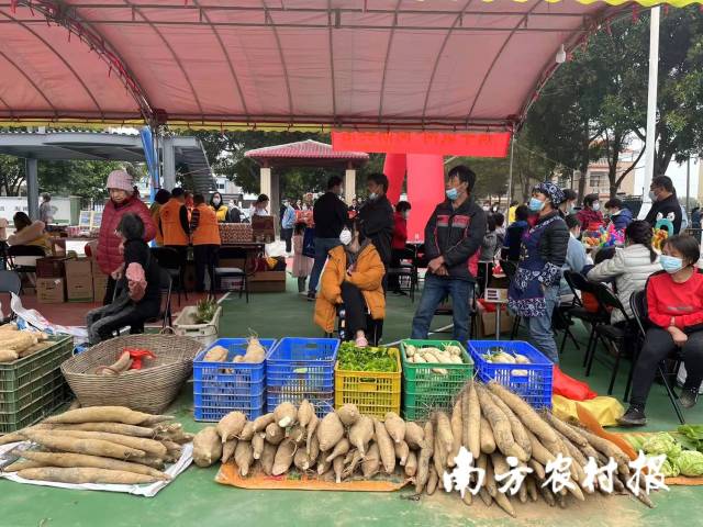 南方农村报 惠婷婷 绘图