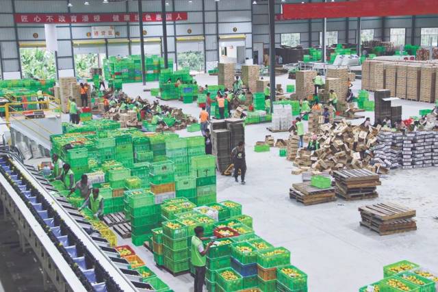 新平农产品网货加工中心和云仓中心。