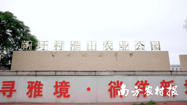 新圩淮山农业公园 