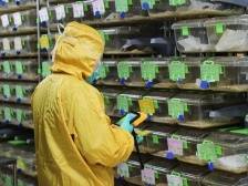 华南小鼠平台：一只小白鼠的大生意｜狮山调研