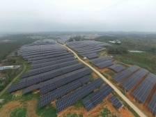 胜桥村：探索“光伏+农业”经营模式｜开平和美乡村“亮绩亮效”线上展示