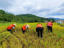 云浮农商银行：“三个强化”深耕普惠金融 | 金融活水润泽“百千万工程”⑯