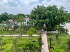 牛山村：农、文、旅多产业融合发展｜开平和美乡村“亮绩亮效”线上展示