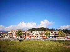 蕉园村：打造开平最大的富硒大米生产基地｜开平和美乡村“亮绩亮效”线上展示