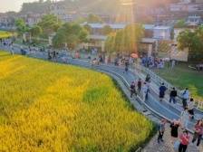 黎雄村：打造远近闻名的“网红”村｜开平和美乡村“亮绩亮效”线上展示