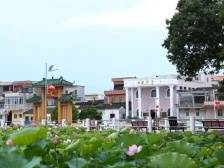 桥新村：推动传统五金汽配产业转型升级｜开平和美乡村“亮绩亮效”线上展示