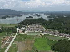 红丰村：成立开平市首家强村富民公司｜开平和美乡村“亮绩亮效”线上展示