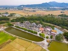 沙洲村：打造功能性水稻万亩示范基地｜开平和美乡村“亮绩亮效”线上展示