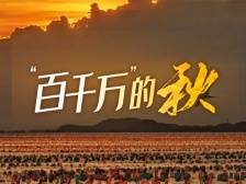 秋日南澳，是懂点“美拉德”的