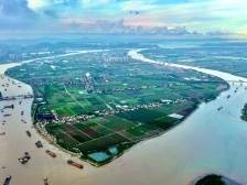 南沙横沥镇，为湾区之心“添味”