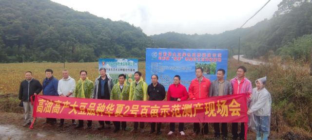 高油高产大豆品种华夏2号百亩示范测产现场