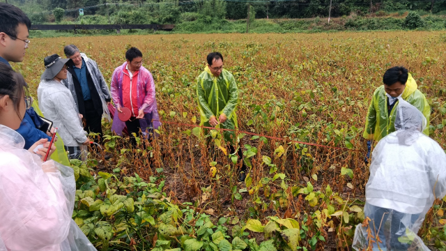 测产专家现场测量面积