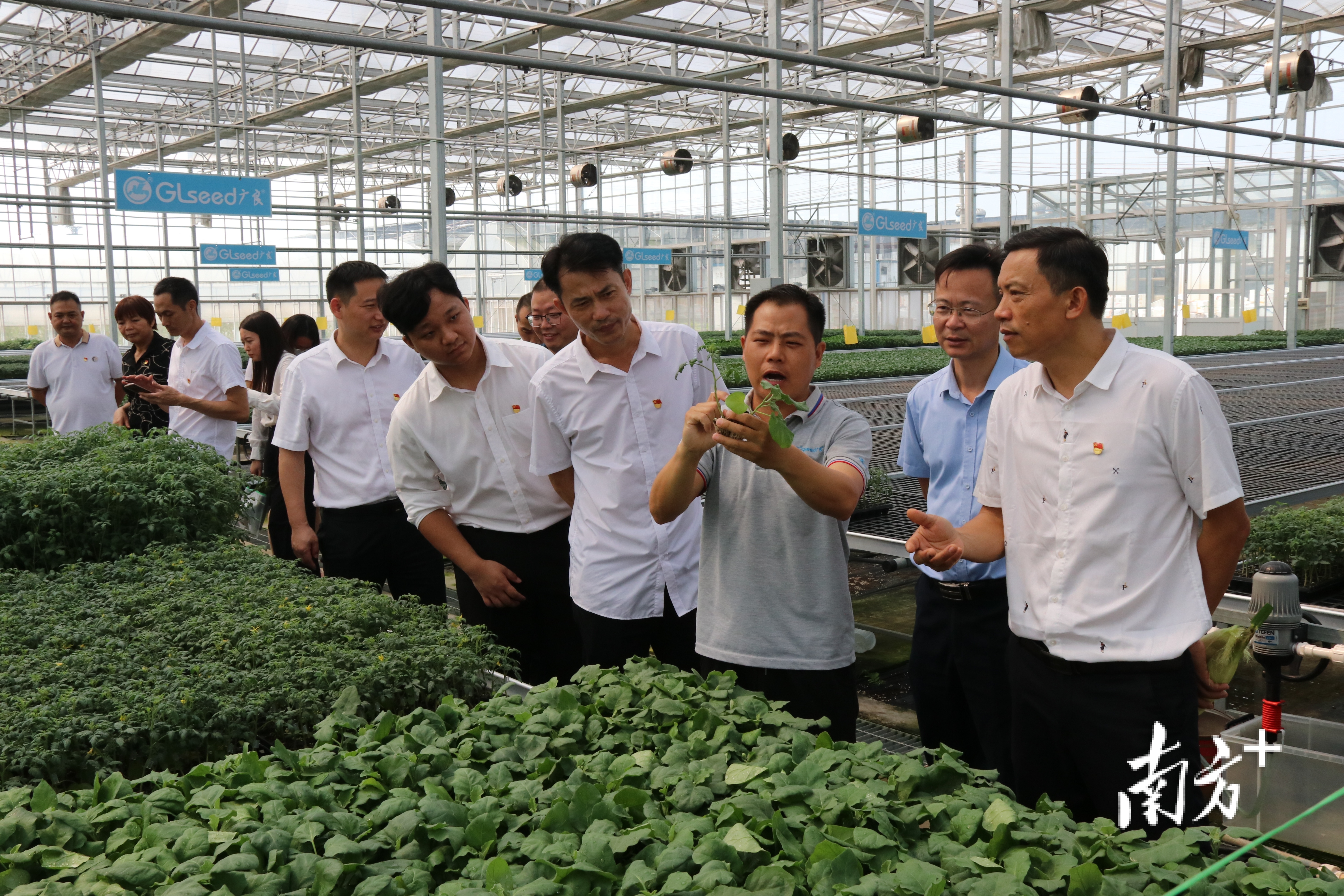 7个村党委代表参观合洋水产等当地的农业龙头企业。