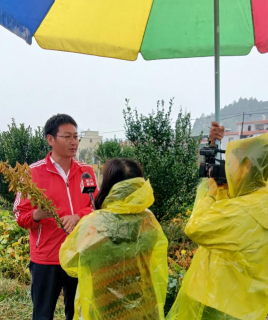 程艳波在现场接受媒体采访