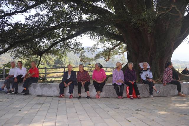 韶关市仁化县红锥古树公园正式开园。