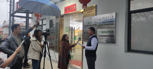 专家组组长马俊奎在现场宣读测产结果