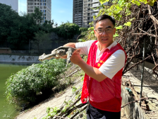 工程师·进莞来｜绿卡实业黄启成：黑科技让龟鳖养殖户钱包更鼓